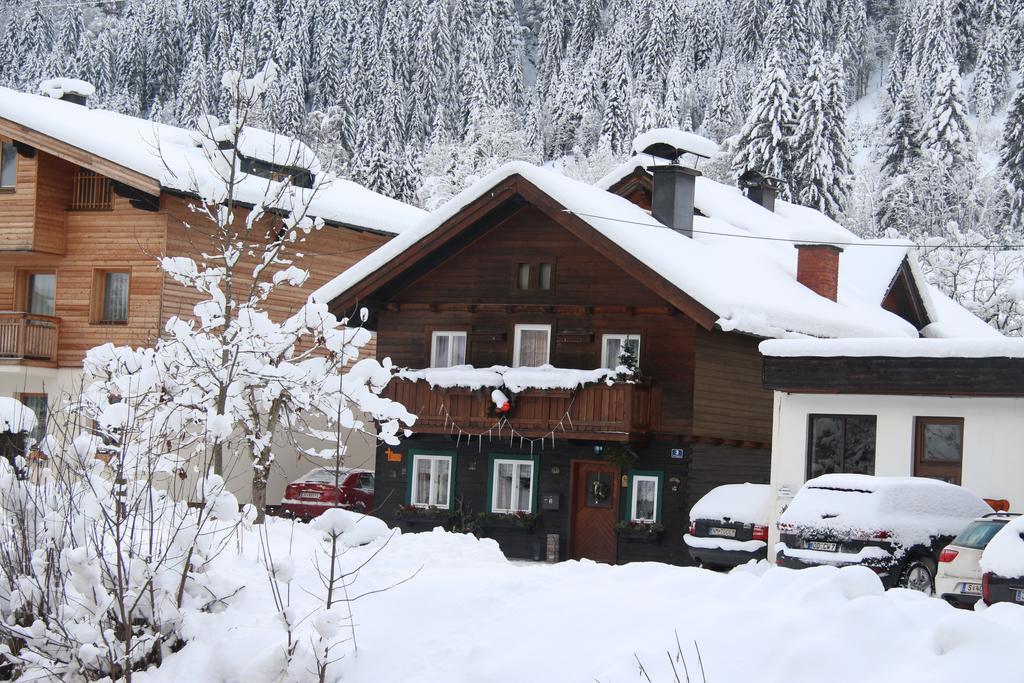 Peterlhaus Villa Kleinarl Exteriör bild