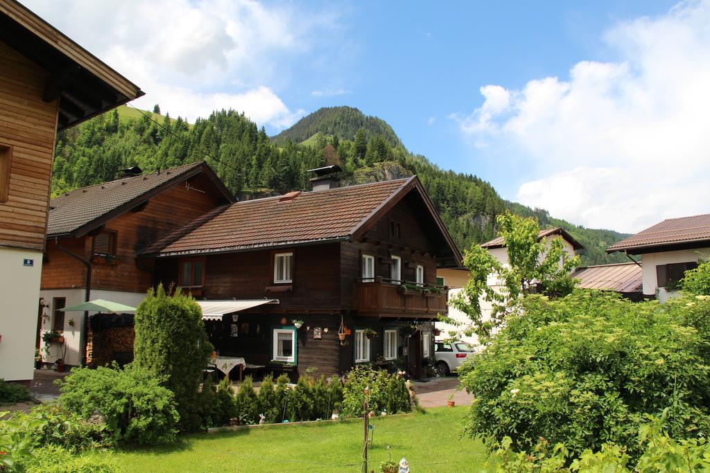 Peterlhaus Villa Kleinarl Exteriör bild