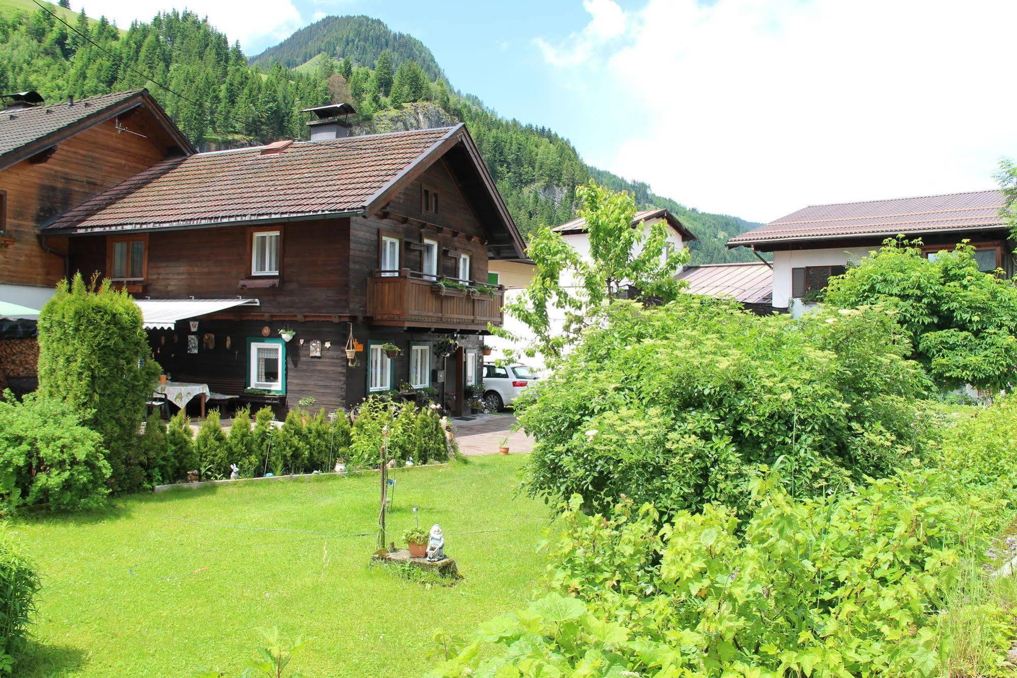 Peterlhaus Villa Kleinarl Exteriör bild